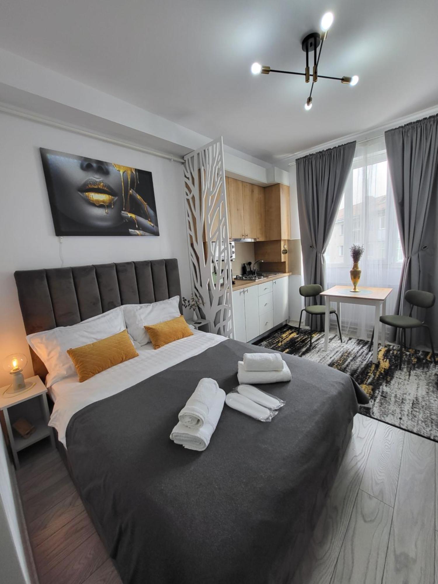 Helen Apartment Onesti