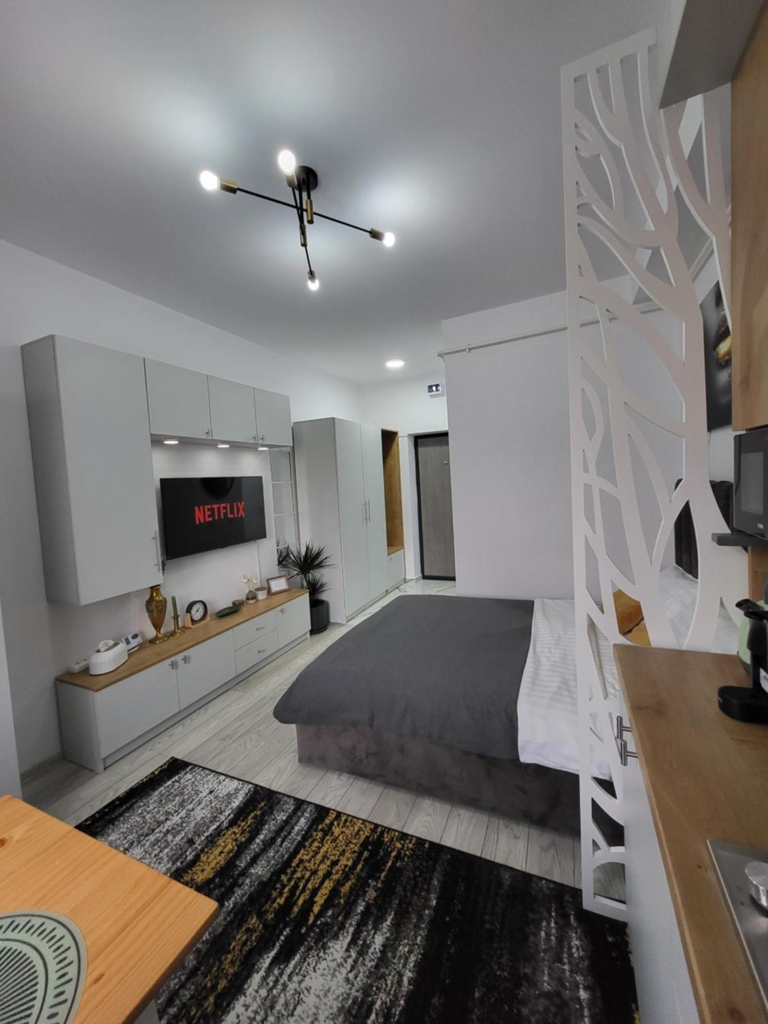 Helen Apartment Onesti